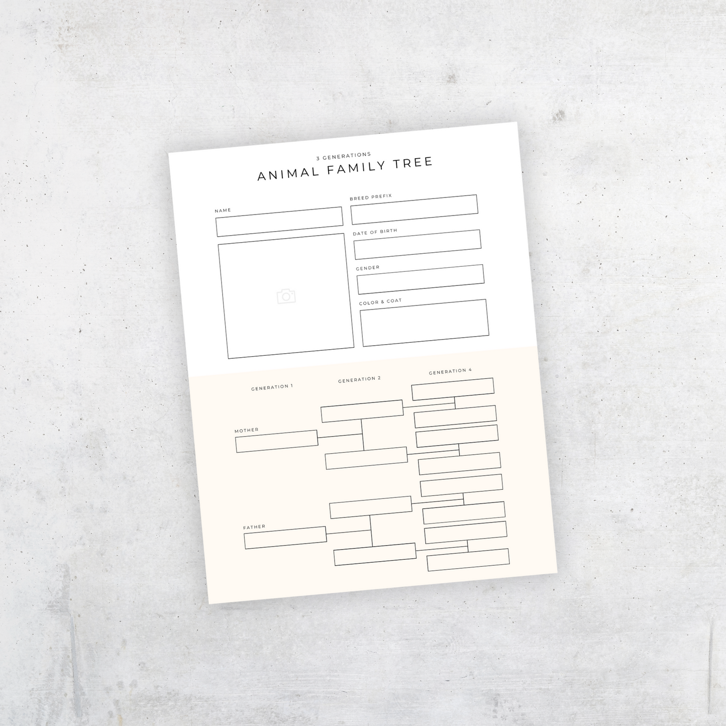 Animal Family Tree Template